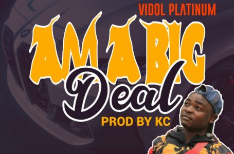 Vidol-Plantnum-x-KC-Ama-Big-Deal