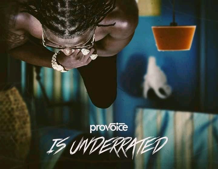  Provoice is Underrated Ep by Provoice