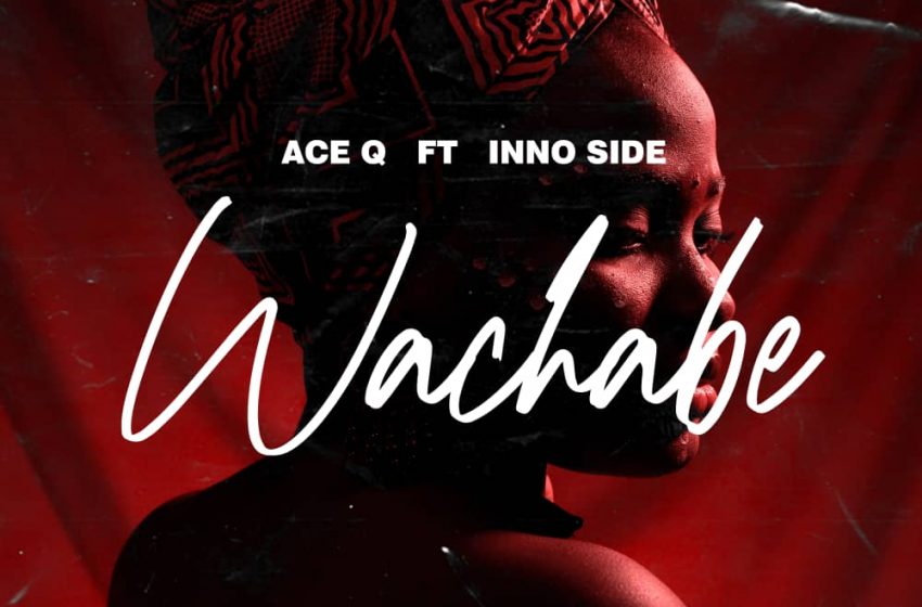Ace q ft inno side Wachabe