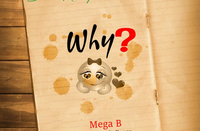  Mega-b-Why-Challenge