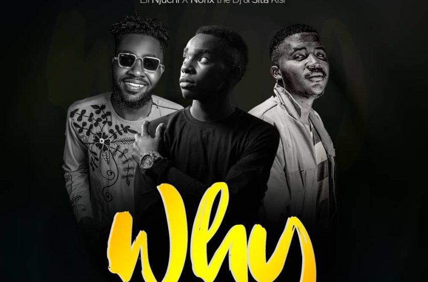 Eli-Njuchi-x-Nofix-the-Dj-Sita-Kisi-MpanjePiAnO-Why