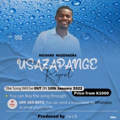 Richard-mazengera-usazapange-regret