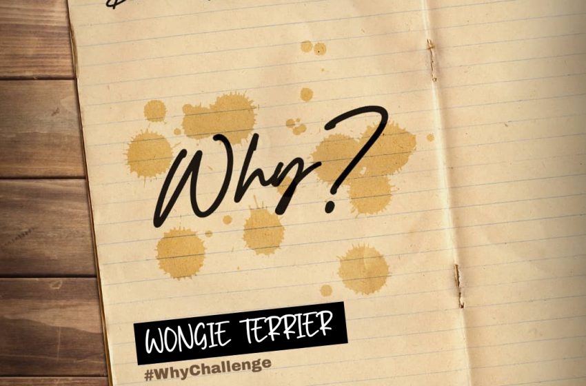 Wongie-Terrier-Why-Prod-Pex