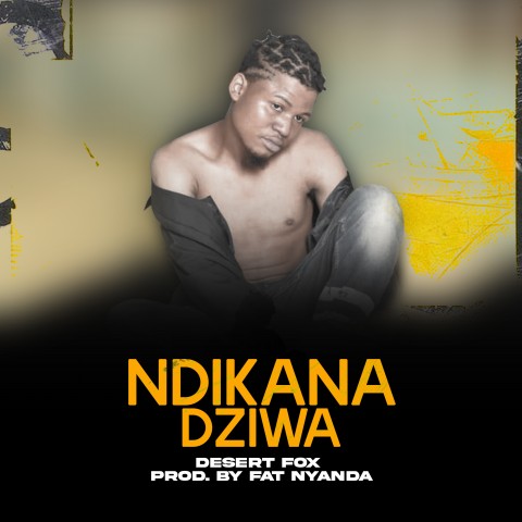  Desert-fox-Ndikanadziwa