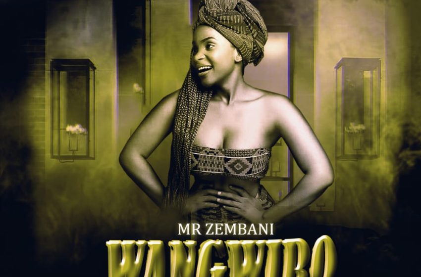 Mr-Zembani-Wangwiro