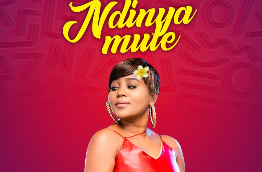  Hilco-Ndinyamule