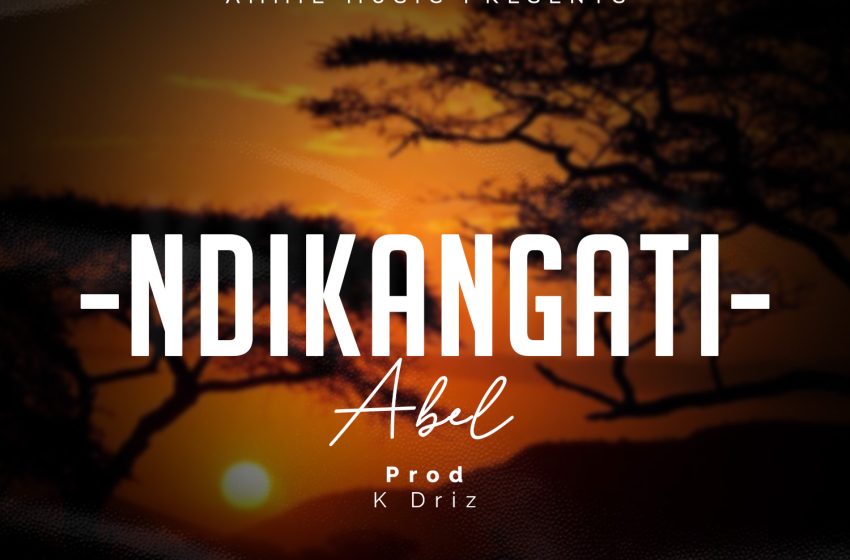  Abel-Ndikangati