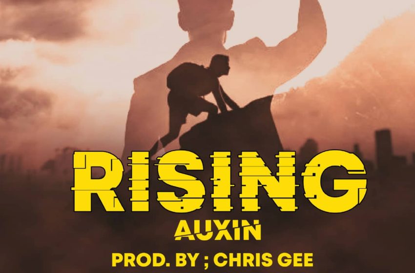  Auxin-Rising-Prod-by-Chris-Gee