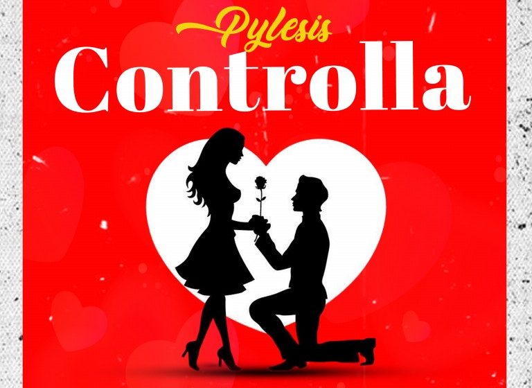  Pylesis-Controlla