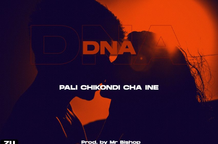  DNA-Pali-chikondi-cha-ine