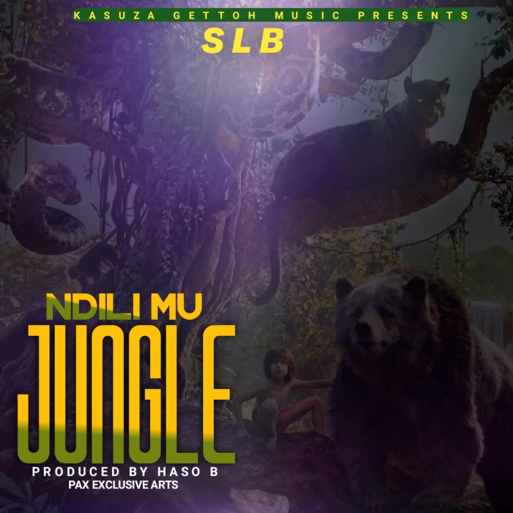 SLB-Ndili-mu-jungle-Prod-by-HASO-B