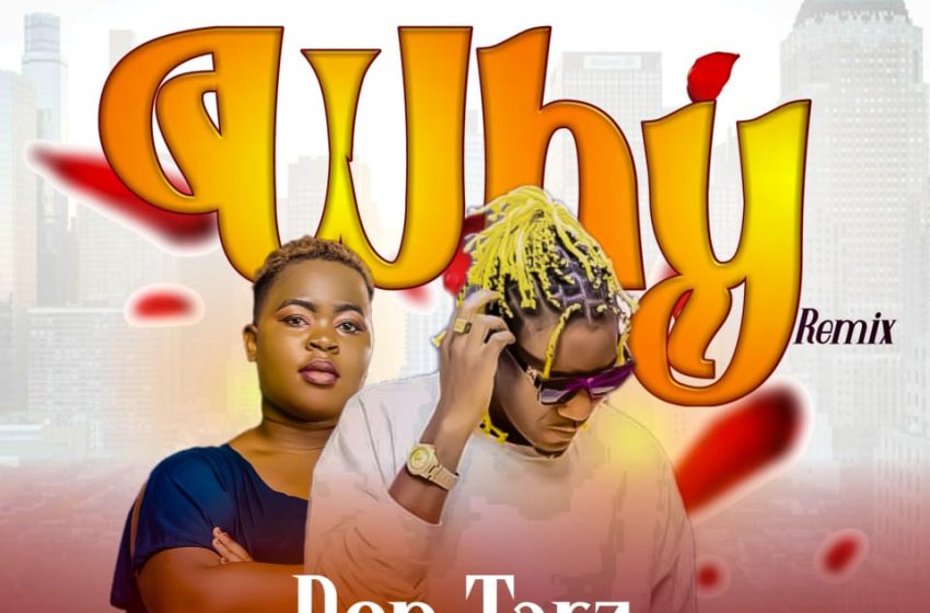  Don-Tarz-Ft-Vertah-Why-Remix-Prod-by-Grasshopper-Music-of-Hope