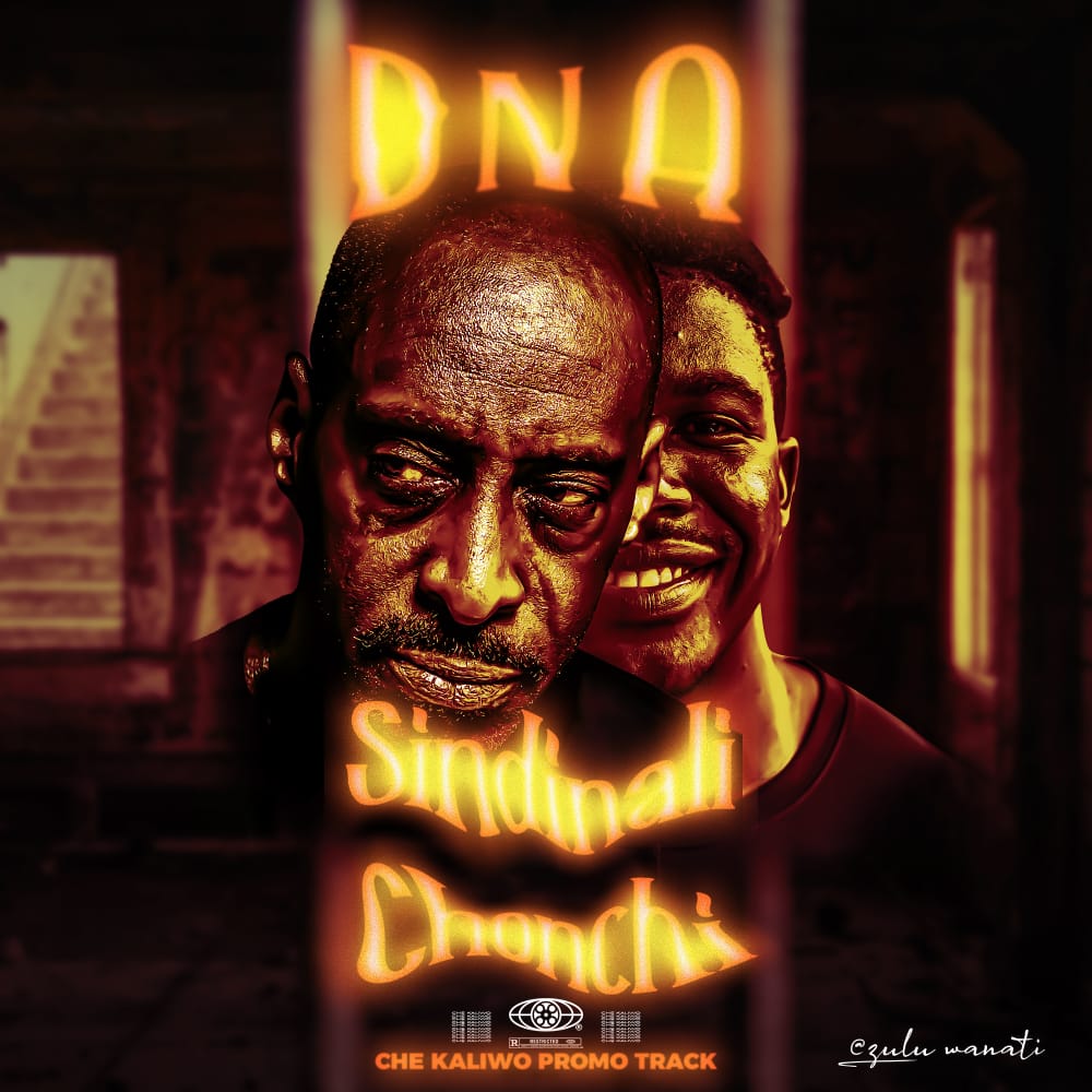 Dna-sindinali-chonchi-Prod-by-ApexMr-Bishop-Fideman