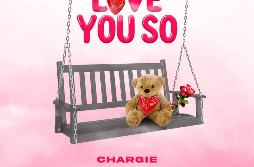  Chargie_Love-You-So