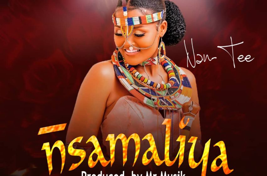  Nan-Tee-_-Nsamaliya-Prod-by-MrMuziq@LavenStudio