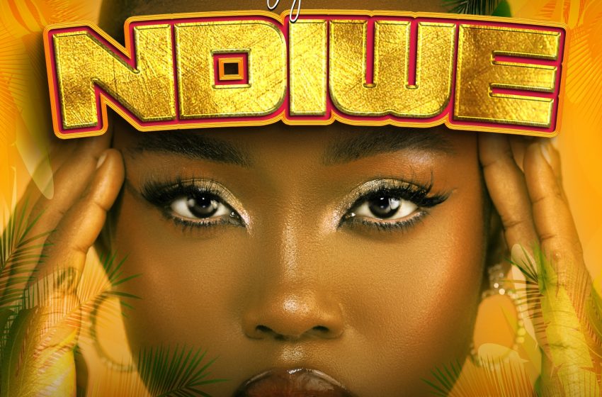  Amzy-Ali-Ndiwe-prod-by_Maxxy