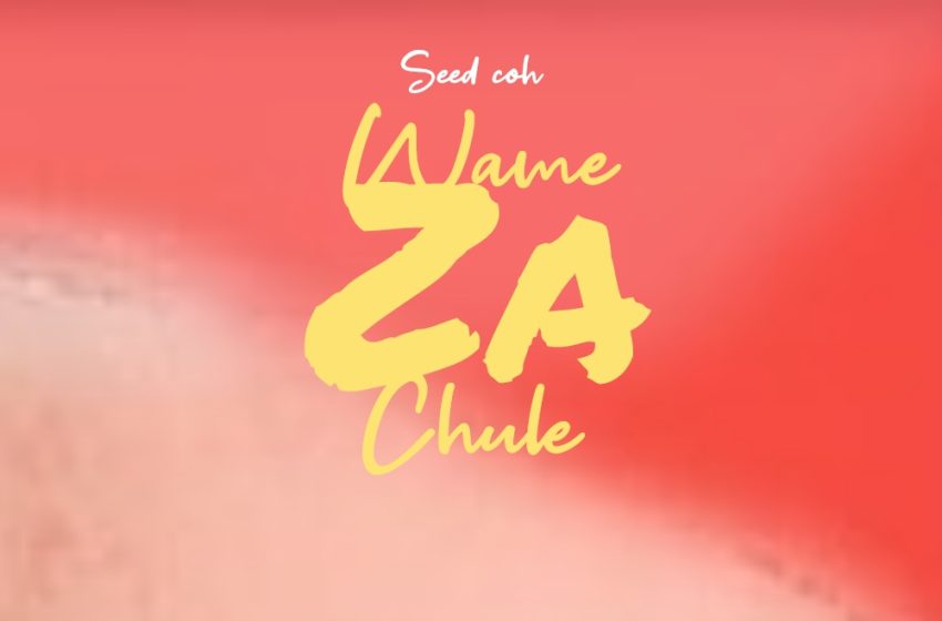 Seed-Coh(chimfana-chobeba)-wameza-chule-prod-by-trueth-beatz