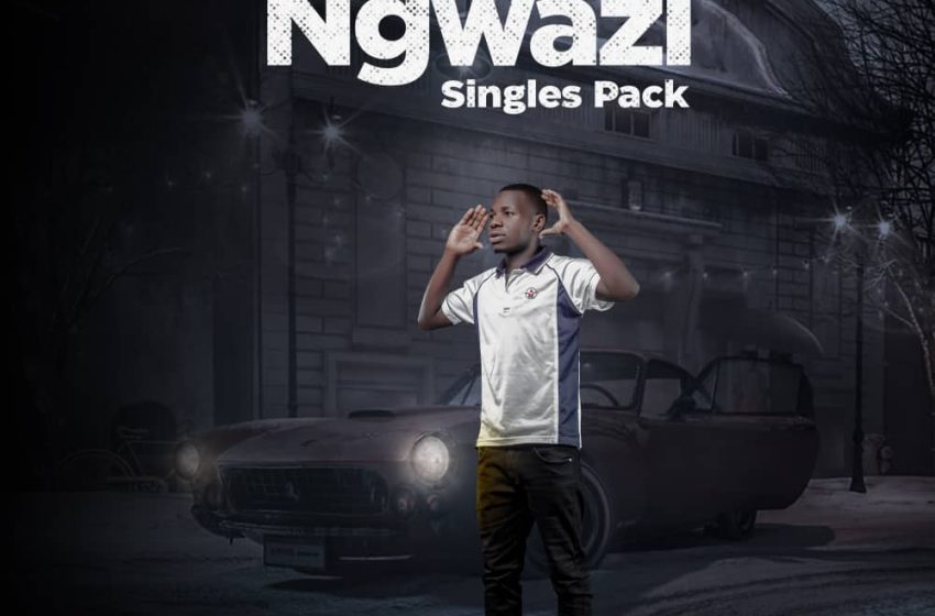  Dziko Album By Ngwazi