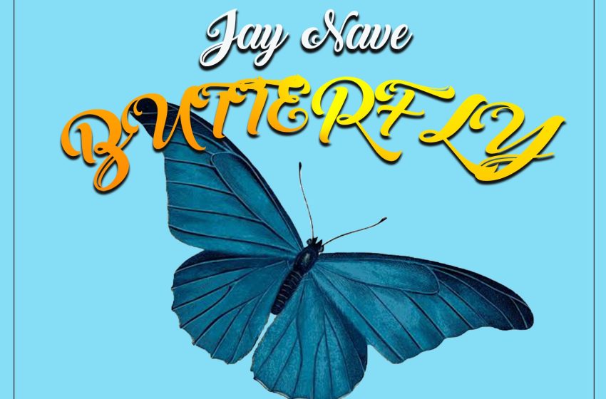 jay-nave-Butterfly