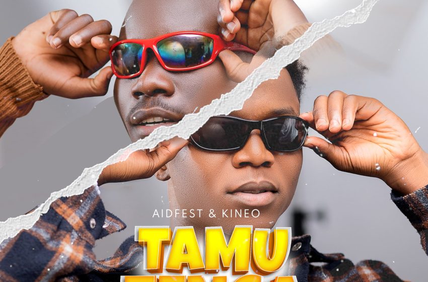 Aidfest-Kineo-Tamutenga-Prod-by-Stafa-Awosh
