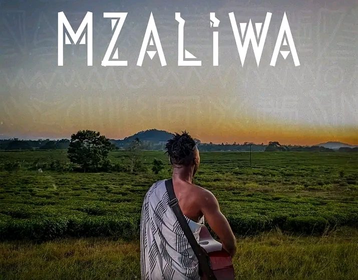 Mzaliwa Album by Driemo