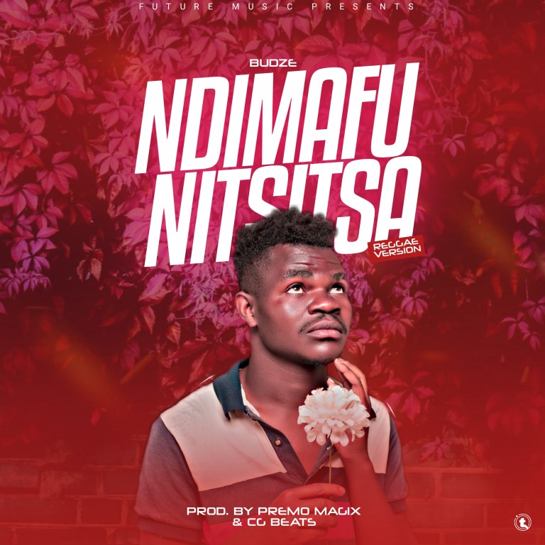 Budze_Ndimafunitsitsa_Reggae-Vision_Mingo-In-The-Mix-CG-Beats.m