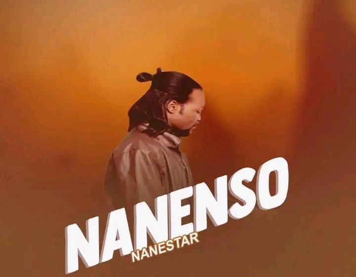  Nanestar-Nanenso