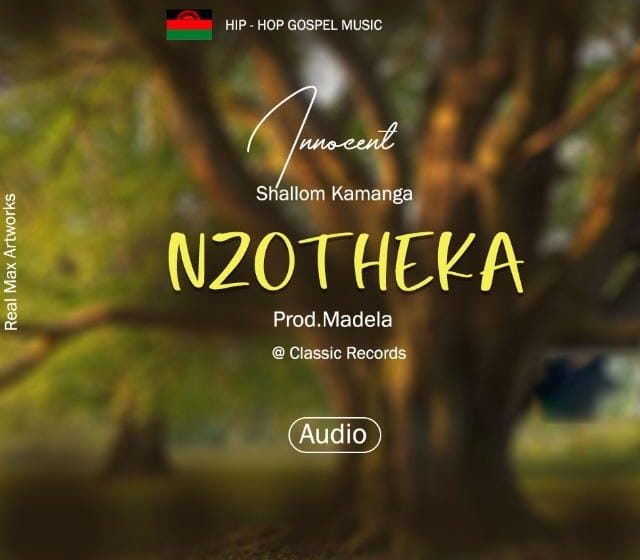  Innocent-Shallom-Kamanga-Nzotheka