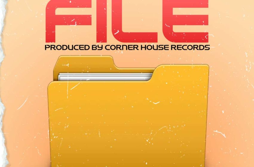 LedMamba-File
