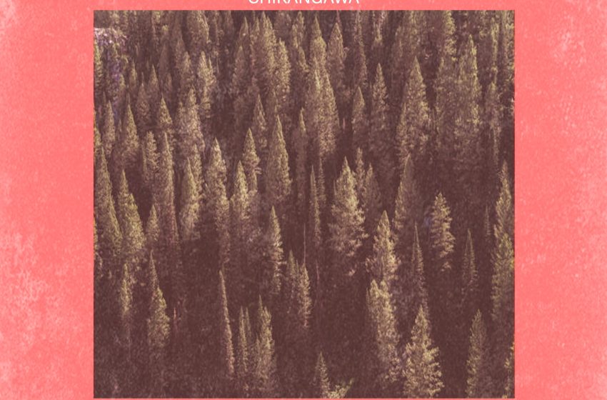  GaSouL-feat-Nthondwa-Chalz-Ways-Chikangawa-Prod-by-Sxvage-Esco-Beatle-Viddiex-Fyah