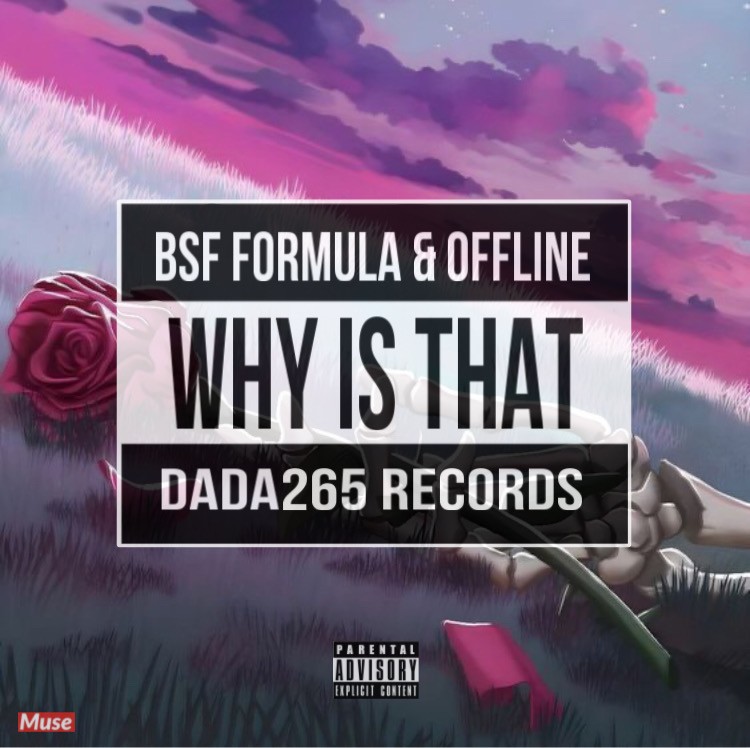 BSF-Formula_ x _Offline_Why-Is-That_Prod-by-Dada265