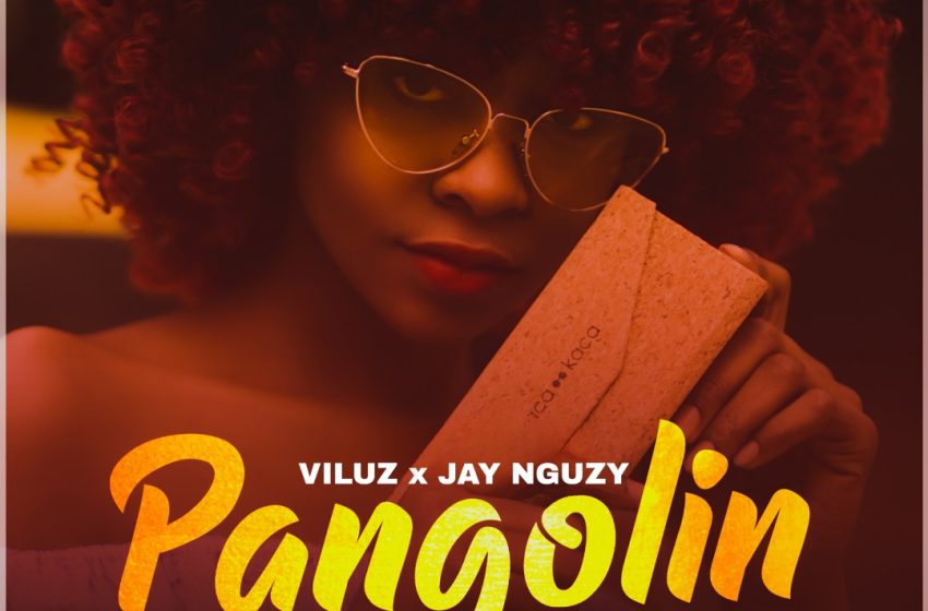  Viluz-x-Jay-Nguzy-Pangolin-Prod-by-Dav-Gee-RoeRed-Ozone-Studio