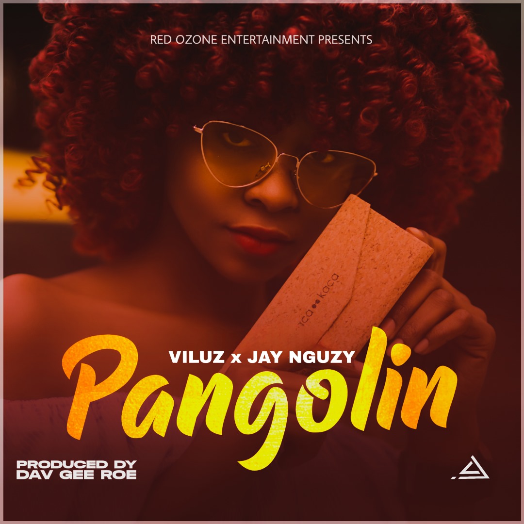 Viluz-x-Jay-Nguzy-Pangolin-Prod-by-Dav-Gee-RoeRed-Ozone-Studio