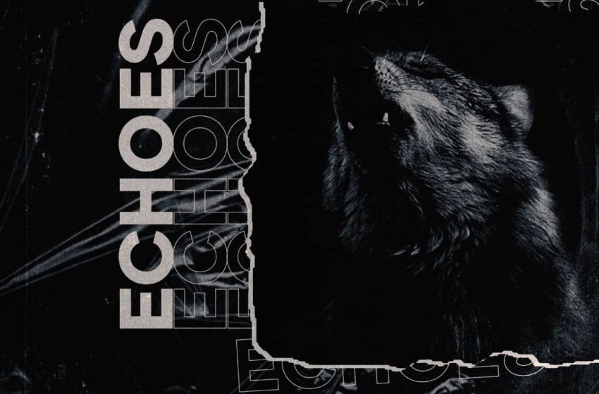  Wiz-Harlock x Fidre-36-Echoes
