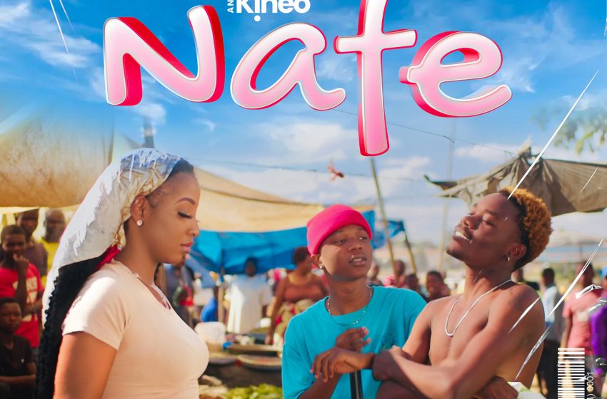  Aidfest-Kineo-Nafe