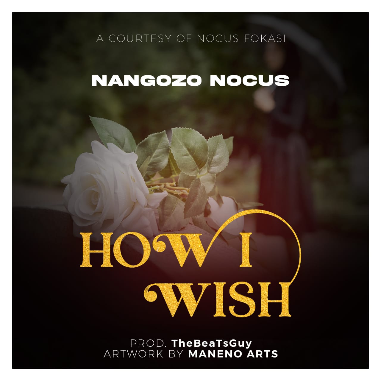 Nangozo-nocus-how-i-wish-prod-by-The-Beats-guy