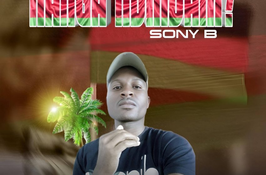  Sony-b-nanga-ndindani