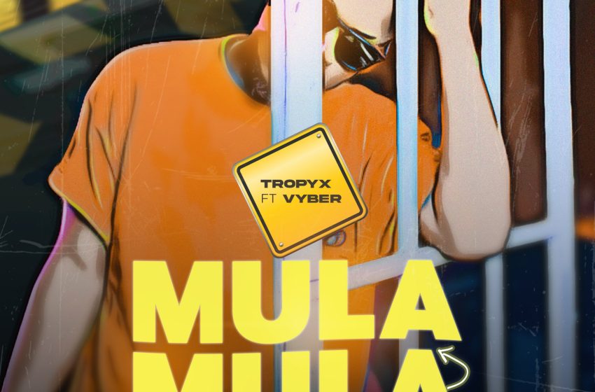  Tropyx-Mula-Mula-ft-Vyber