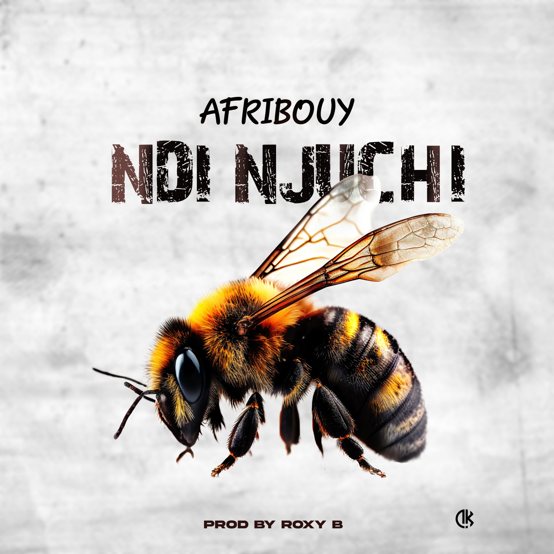 Afribouy-Ndi-njuchi-prod-by-Loxy-B