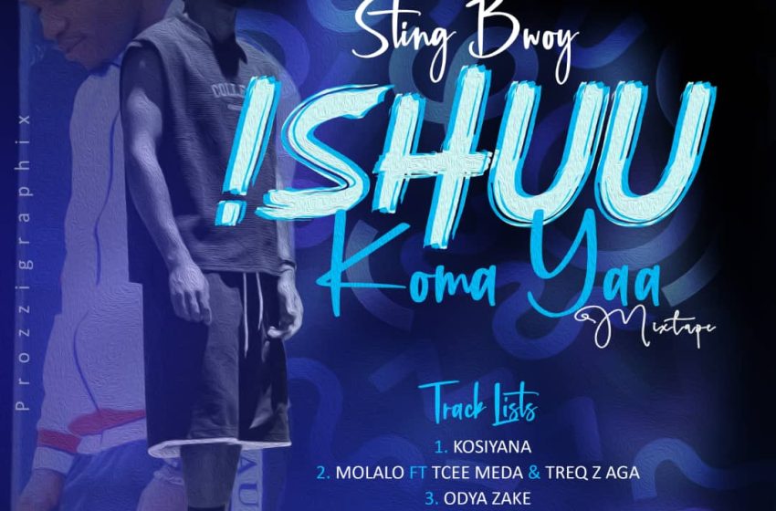  Sting Bwoy-Ishuu Koma Yah Mixtape