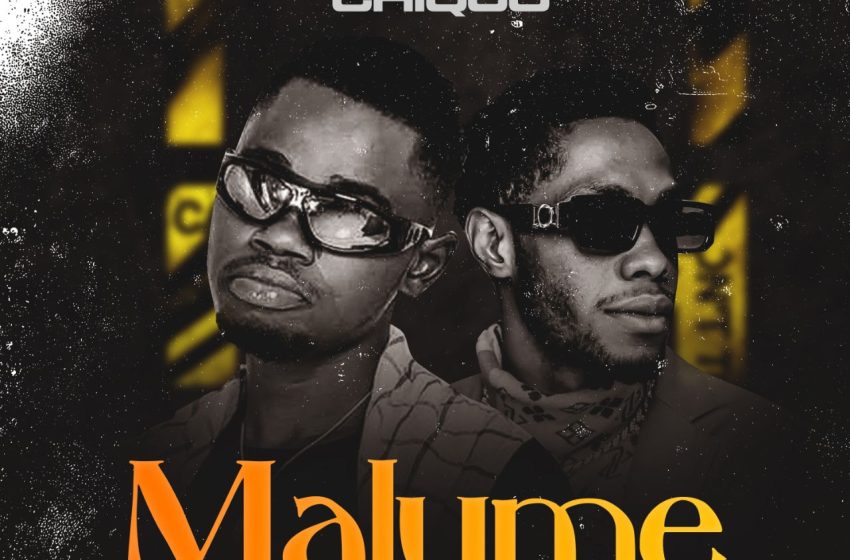  CHIQUO ft yashie-the-kid Malume