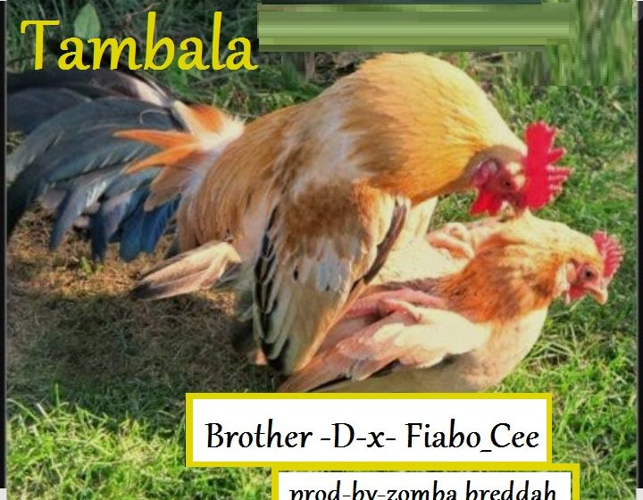  Brother D x Fiabo_Cee-Tambala