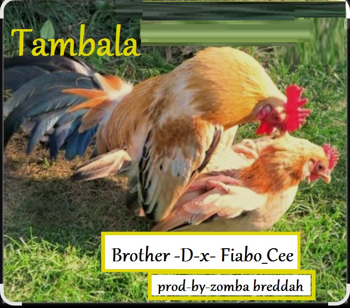 Brother D x Fiabo_Cee-Tambala
