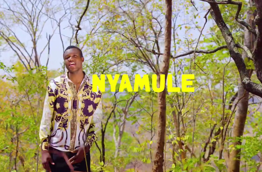  K_Divine_STM__Nyamule