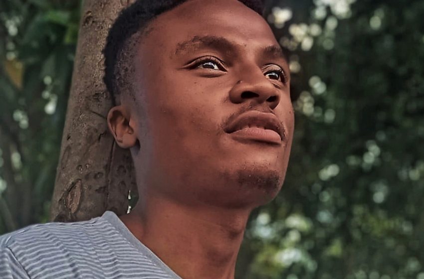  3 PIECE by Primo XBL