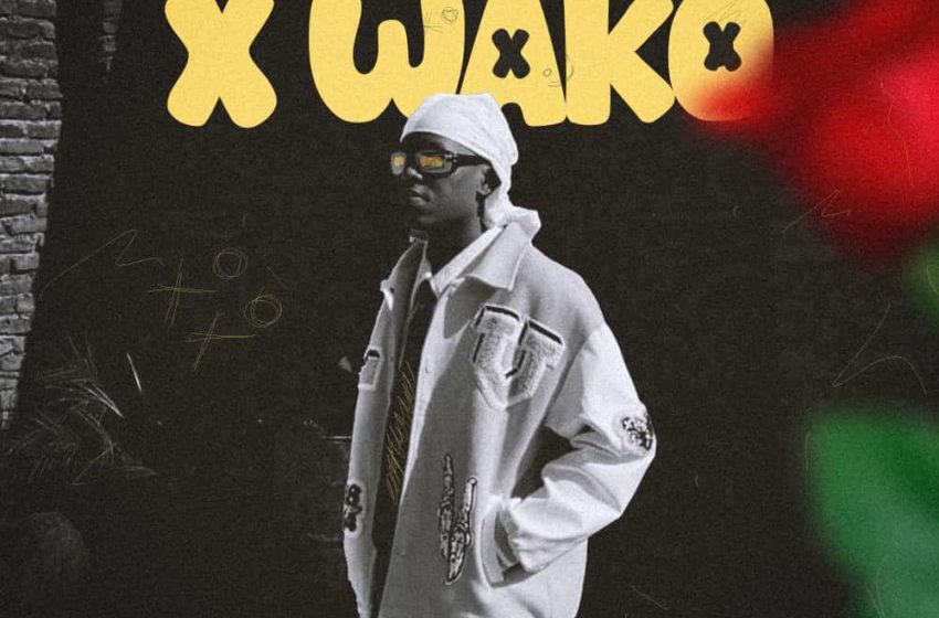  Troyh X wako prod-by-Dj-megi