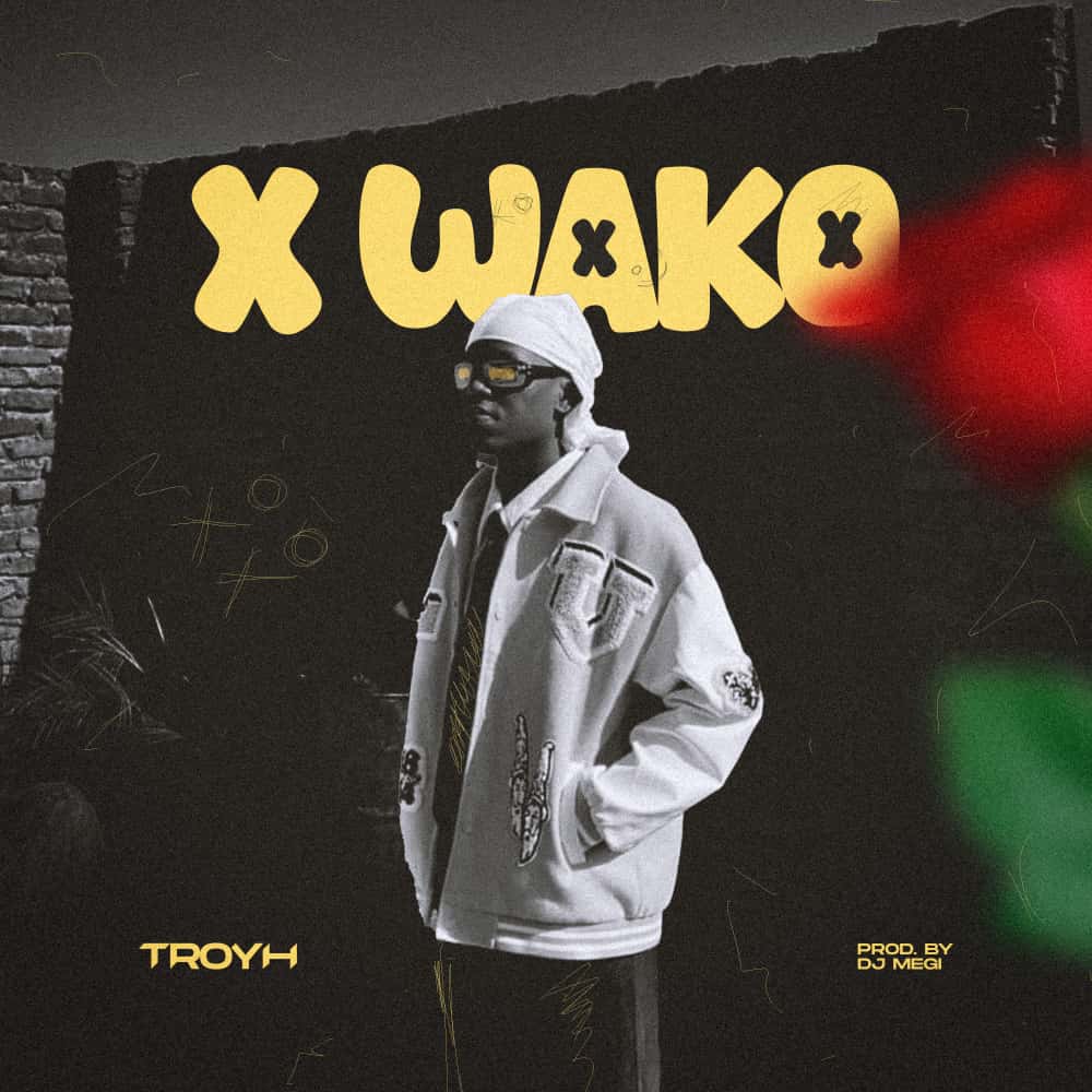 Troyh X wako prod-by-Dj-megi