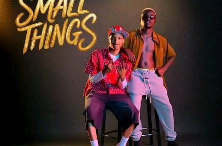 Aidfest-x-Kineo_Small_Things