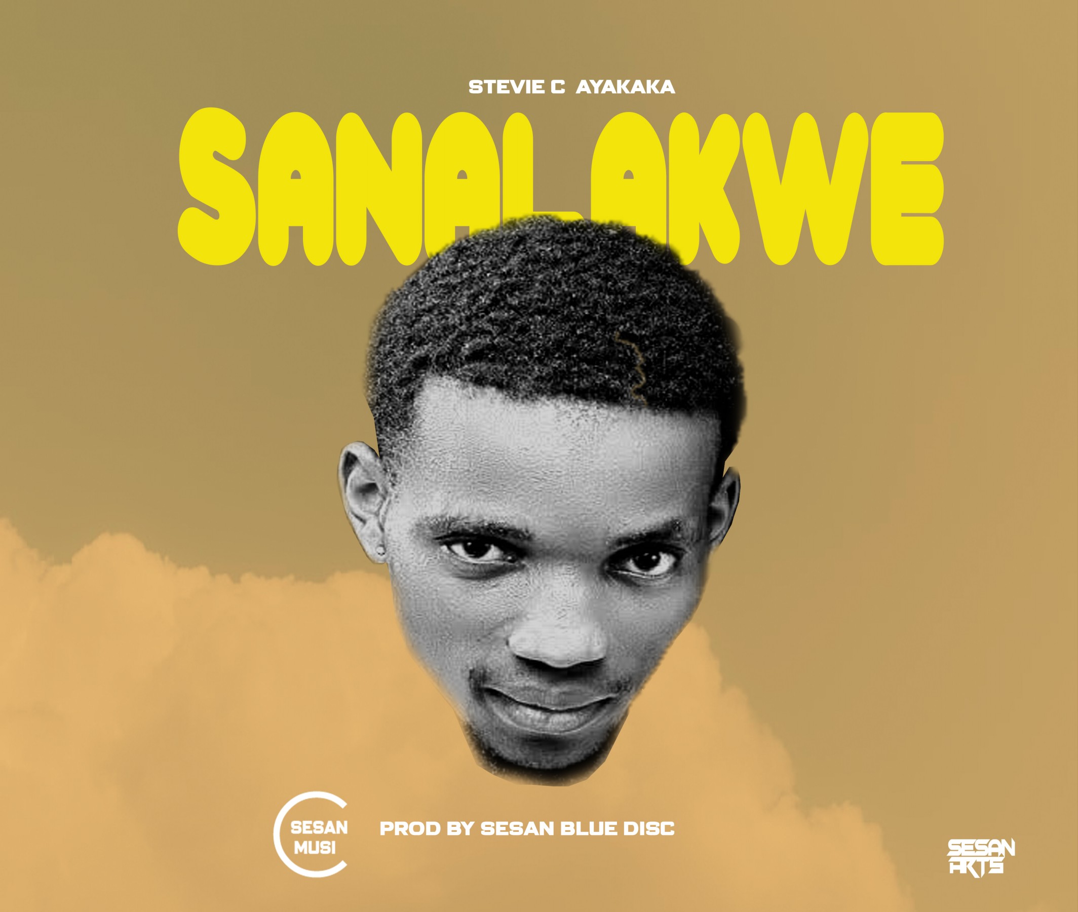 Stevie C Sesan Ayakaka Sanalakwe Prod-by-Sesan-The-Blue-Disc