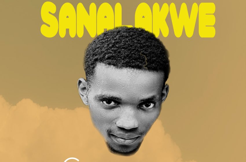 Stevie C Sesan Ayakaka Sanalakwe Prod-by-Sesan-The-Blue-Disc